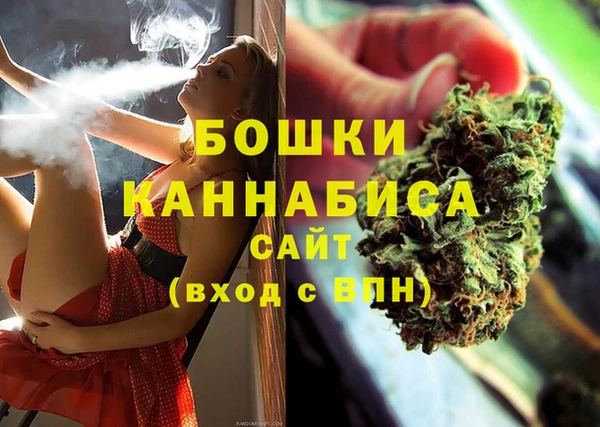 шишки Семилуки
