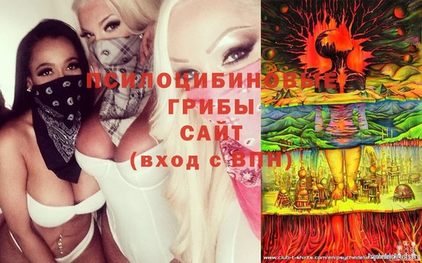 шишки Семилуки